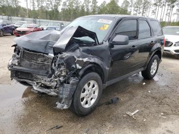 Salvage Mazda Tribute