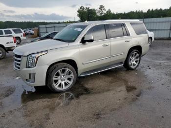  Salvage Cadillac Escalade