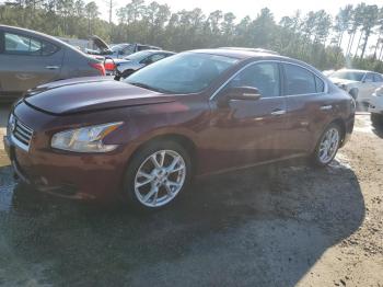  Salvage Nissan Maxima