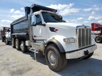  Salvage Peterbilt 567