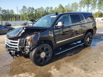  Salvage Cadillac Escalade