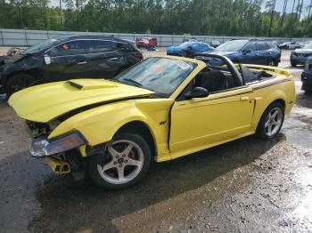  Salvage Ford Mustang