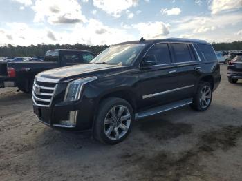  Salvage Cadillac Escalade