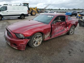  Salvage Ford Mustang