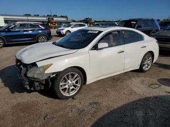  Salvage Nissan Maxima