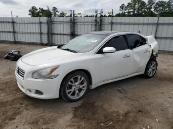  Salvage Nissan Maxima