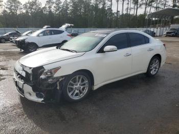  Salvage Nissan Maxima