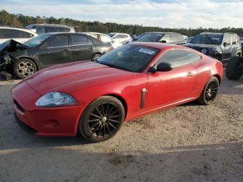  Salvage Jaguar XK