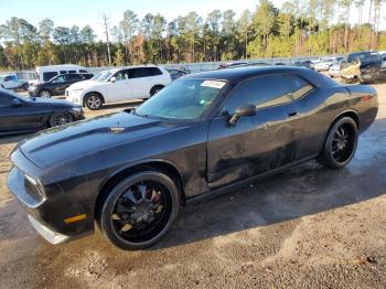  Salvage Dodge Challenger