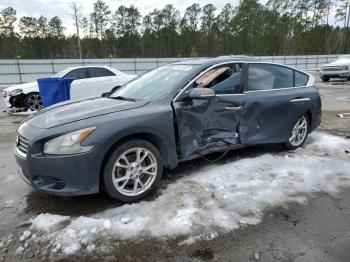  Salvage Nissan Maxima