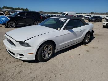  Salvage Ford Mustang