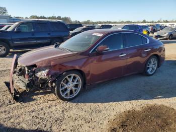  Salvage Nissan Maxima