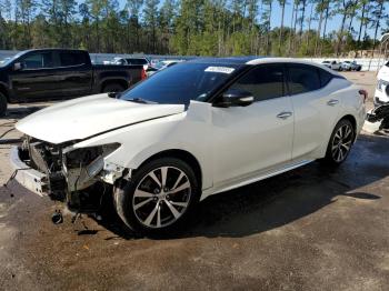  Salvage Nissan Maxima