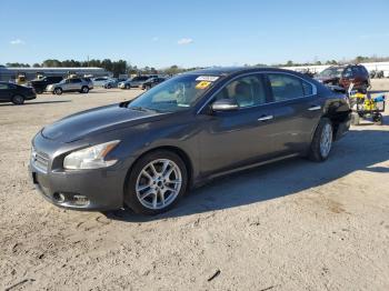  Salvage Nissan Maxima