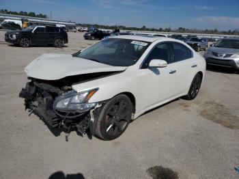  Salvage Nissan Maxima