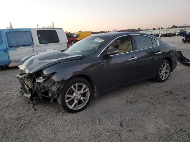  Salvage Nissan Maxima