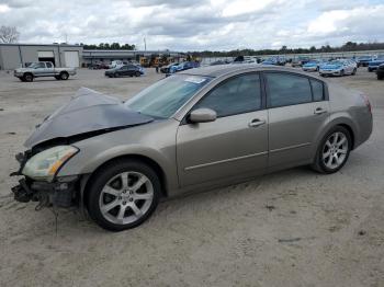  Salvage Nissan Maxima