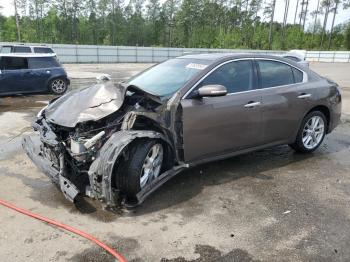  Salvage Nissan Maxima