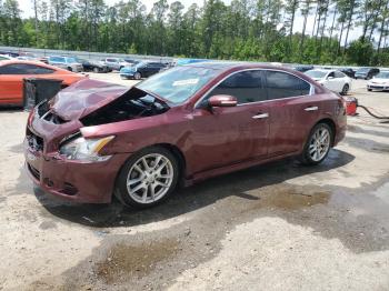  Salvage Nissan Maxima