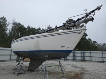  Salvage Cata Sailboat