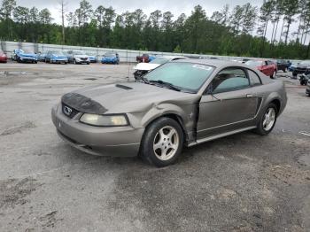  Salvage Ford Mustang
