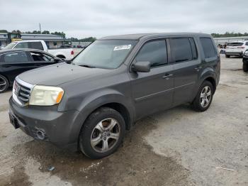  Salvage Honda Pilot
