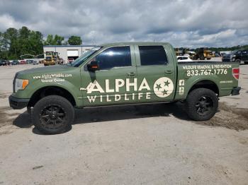  Salvage Ford F-150