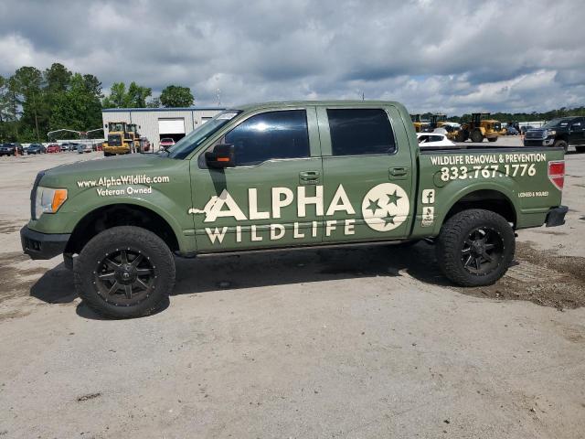  Salvage Ford F-150