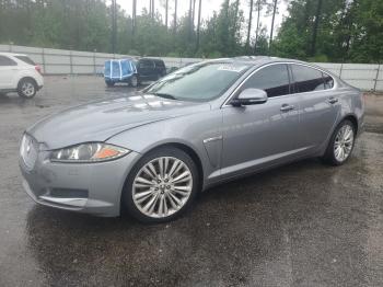  Salvage Jaguar XF