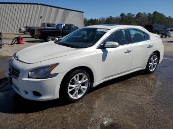  Salvage Nissan Maxima