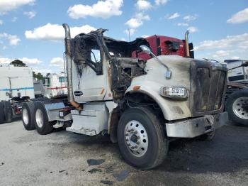  Salvage Peterbilt 567