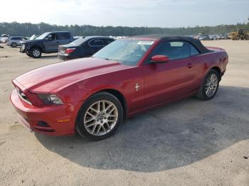 Salvage Ford Mustang