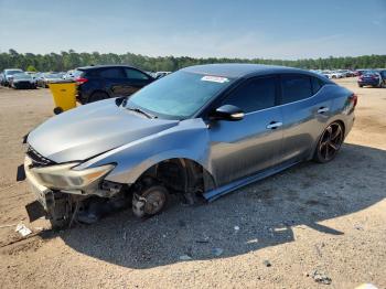  Salvage Nissan Maxima