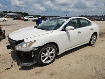  Salvage Nissan Maxima