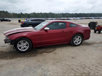  Salvage Ford Mustang