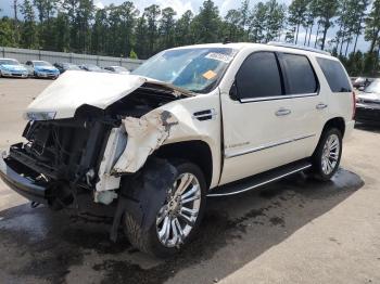  Salvage Cadillac Escalade