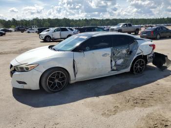  Salvage Nissan Maxima