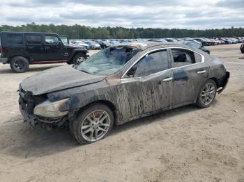  Salvage Nissan Maxima