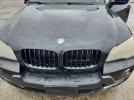 BMW X Series Xdrive30i Image 11
