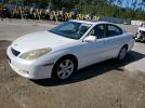 Lexus Es 330 Image 1