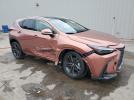 Lexus NX 450h Luxury Image 7