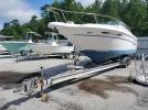 Sea Ray Boat Image 4