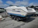 Sea Ray Boat Image 2