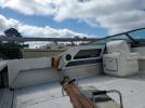 Sea Ray Boat Image 5