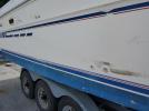 Sea Ray Boat Image 9