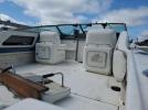 Sea Ray Boat Image 7