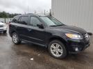 Hyundai SANTA FE Limited Image 3