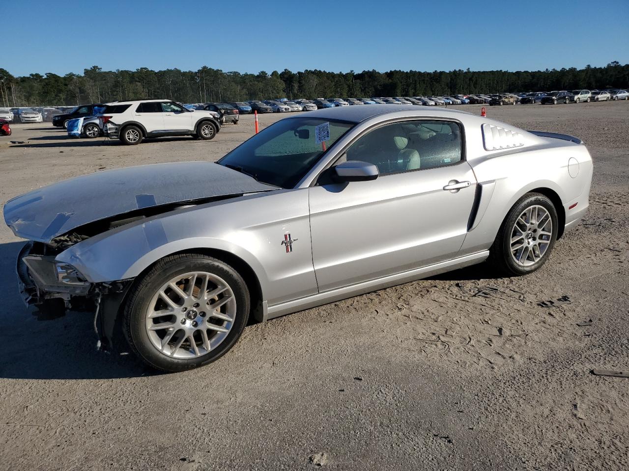 Ford Mustang Image 1