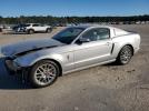 Ford Mustang Image 1