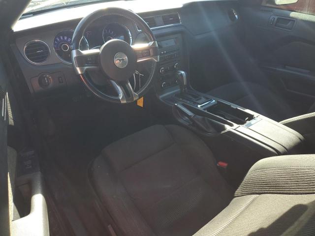 Ford Mustang Image 11